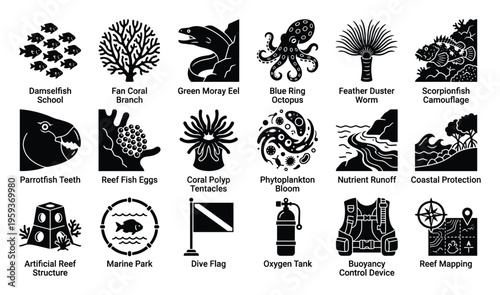 Diverse set of marine biology and scuba diving icons illustrating underwater species, reef ecosystems, ocean protection, and exploration activities ideal for educational infographics and