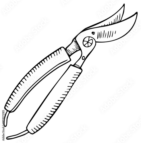 Illustration of garden pruning shears, sketch style