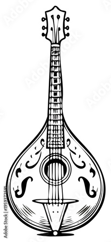 Ornate stringed musical instrument with a pear shaped body and fretted neck