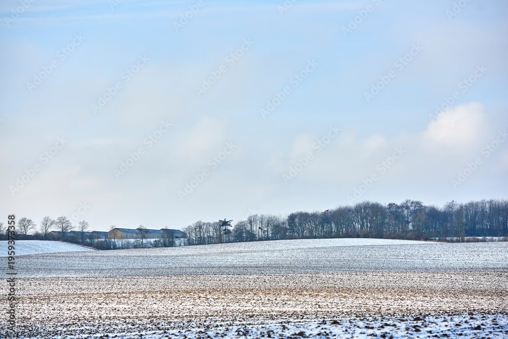 Naklejka premium Landscape, farmland and field with snow in nature for agriculture, dormant crops and winter season. Space, sky or climate change with frost for soil moisture, seasonal farming and planting disruption