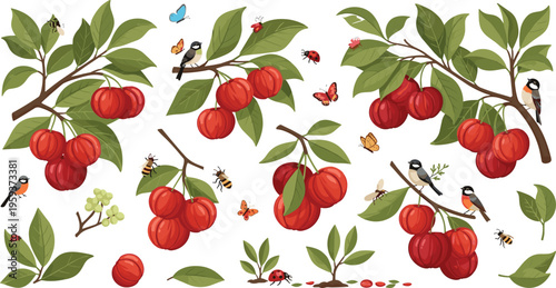 Hand drawn cherry tree branches with birds insects and ripe fruits vector set botanical garden illustration collection in natural vintage style