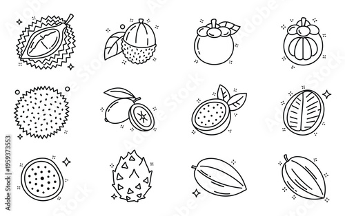 Exotic tropical fruit outline icon set featuring durian rambutan mangosteen passionfruit and dragonfruit ideal for healthy food branding graphic web applications