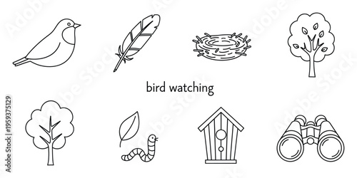 Comprehensive set of line icons depicting essential bird watching equipment and natural elements, including a small bird, feather, nest, trees, worm, birdhouse, and binoculars, suitable for