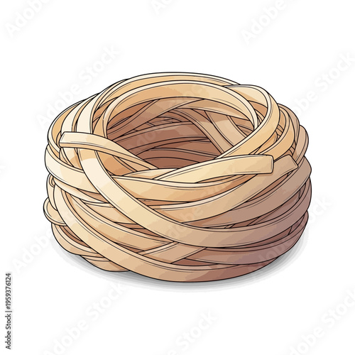 Raw fettuccine nest, uncooked pasta isolated on white background, Italian cuisine ingredient