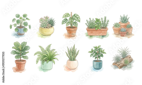 Watercolor Houseplant Clipart Set — 10 Indoor Potted Plants PNG SVG Vector Illustration