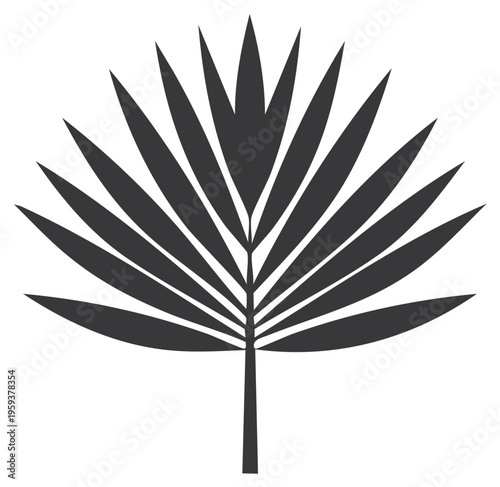 Stylized tropical fan palm leaf silhouette. Minimalist vector illustration of an exotic plant frond.