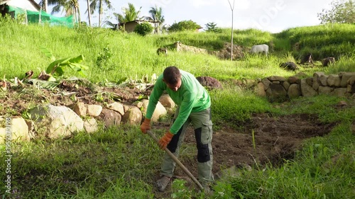 A man shoveling with white cow at the back