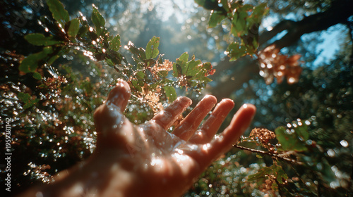 A close-up of a hand reaching out towards sunlight filtering through green leaves. Water droplets glisten on the hand and foliage, creating a serene atmosphere.