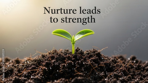 Young Sprout Emerging from Rich Soil