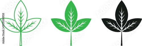 Three cannabis leaves in different colors