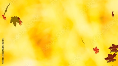 Autumn Leaves Falling Slowly - Golden Yellow Background, Gentle Motion, Seasonal Transition