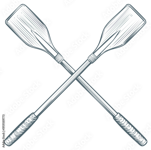 Two crossed wooden oars in a vintage engraved line art style illustration