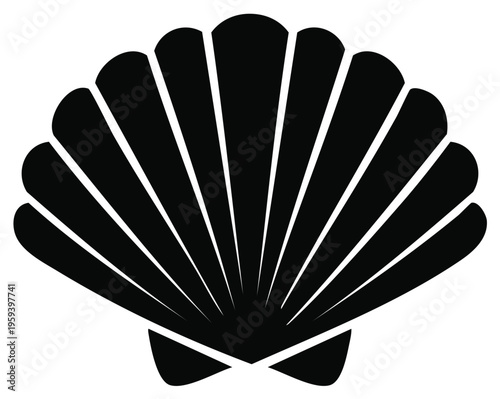 Sea Shell Illustration Silhouette Black Graphic Seashell Nature Ocean Marine Life Icon
