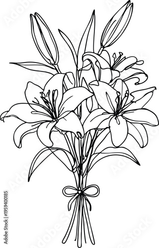 Elegant line art bouquet of lilies hand-drawn floral illustration for wedding invitations and greeting cards isolated on white