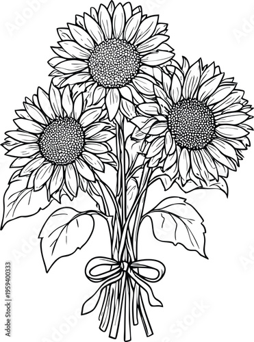 Bouquet of three sunflowers with leaves and ribbon line art illustration for summer design isolated on white background