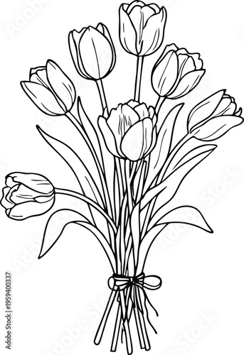 Bouquet of tulips hand-drawn line art illustration simple floral design for greeting cards and spring decoration isolated on white