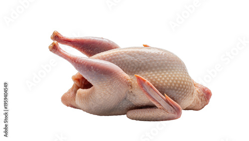 Photos Fresh raw whole quail bird, ready for cooking, gourmet meat for restaurant cuisi