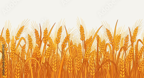 Golden Wheat Field Illustration, Hand Drawn Grain Ears Border for Harvest, Agriculture, and Organic Food Design