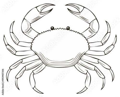 Crab Illustration with Claws and Legs Outline Design for Seafood Theme
