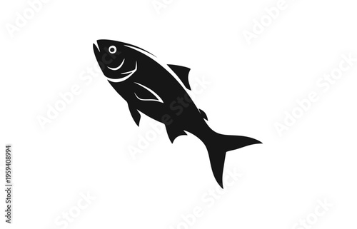 fish on white background