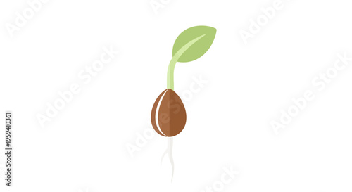Illustration depicting the early stages of plant growth showing a sprout with leaf and roots