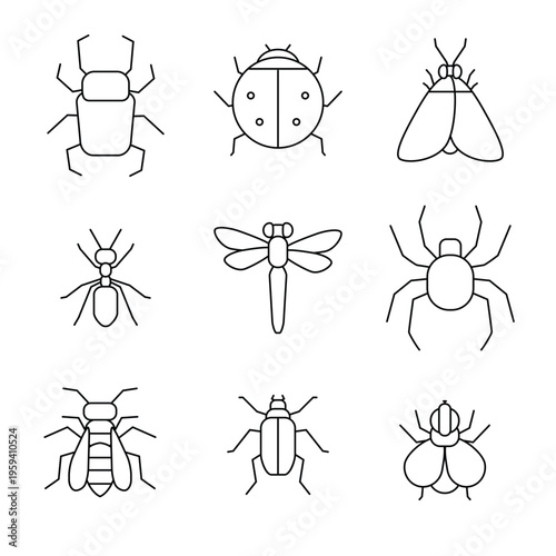 Minimalist insect icons set showing different bugs and flies like ladybug, spider, ant, dragonfly, beetles and moths, featuring thin lines on white background
