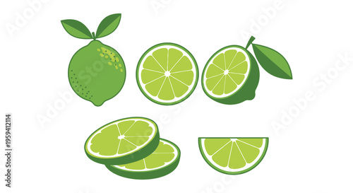 Vibrant collection of fresh green vector lime illustrations, showcasing whole, half, and sliced citrus fruits for refreshing designs.