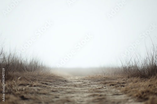 Fading Path Into Fog Uncertain Future Journey Concept
