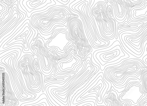 Dense Topographic Contour Seamless Pattern