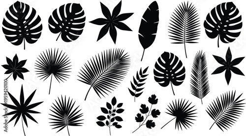 Black silhouette icon collection featuring human fetus gift box house magnifying glass megaphone alarm clock speech bubble calendar and medical monitor