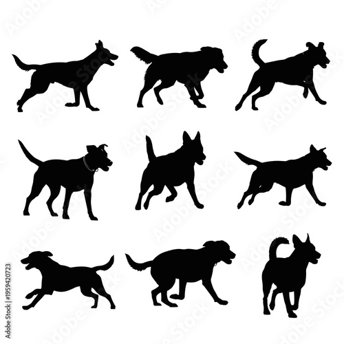 Vector Dog Silhouettes Collection Isolated on White Background
