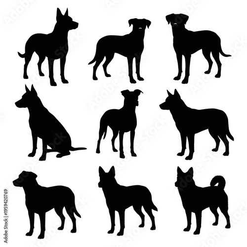 Vector Dog Silhouettes Collection Isolated on White Background
