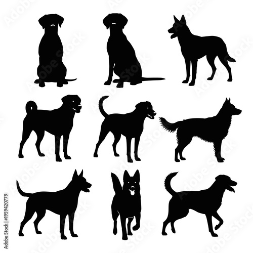 Vector Dog Silhouettes Collection Isolated on White Background
