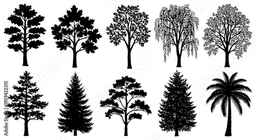 Vector Set of Black and White Collection 1
