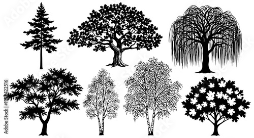 Vector Set of Black and White Trees Collection 3