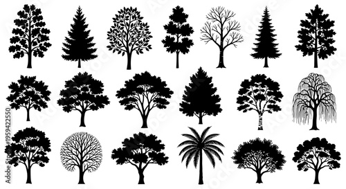 Vector Set of Black and White Trees Collection 4