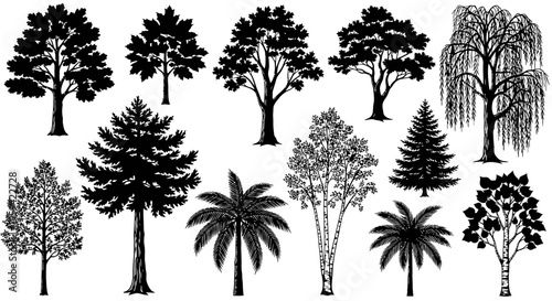 Vector Set of Black and White Trees Collection 5