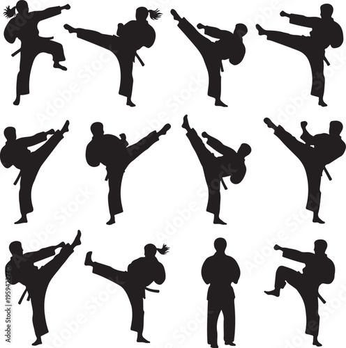 Martial art 2 male and female silhouettes