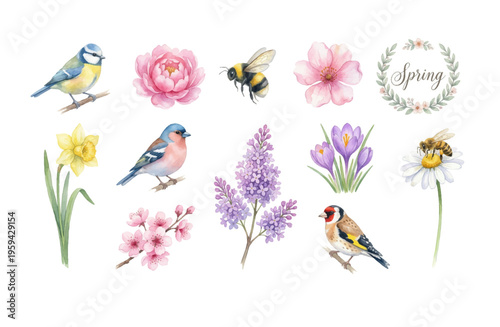Watercolor Spring Nature Clipart Set — Birds, Bees & Flowers PNG SVG Vector Illustration