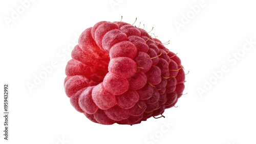 Tableau sur toile Sweet and juicy red raspberry fruit close-up, highlighting fresh delicious healt