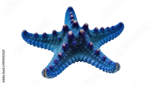 Fotografía Vibrant blue knobby starfish with intricate texture, a captivating marine invert