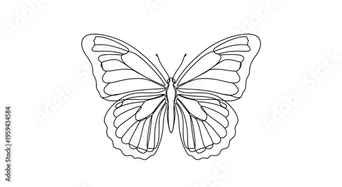 Delicate line drawing of a butterfly with spread wings on a white background
