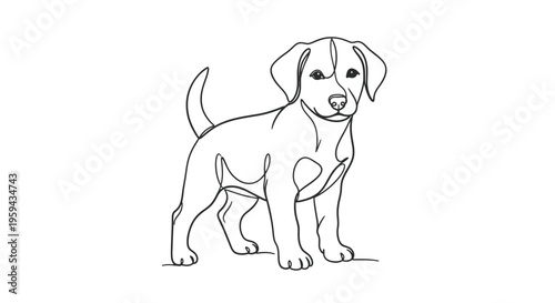 A black and white line drawing of a standing puppy