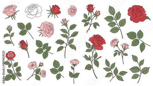 Large collection of red and pink rose flowers buds and green leaves for creating custom floral arrangements and botanical designs.