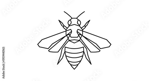 A simple black line drawing of a bee on a white background