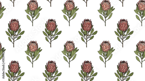 Stylish seamless pattern of exotic protea flowers with green leaves in an orderly arrangement on a white background.