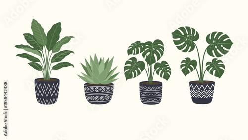 Set of four different potted houseplants including a variegated leaf plant aloe vera and monstera in stylish dark blue patterned pots.