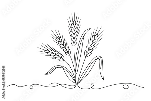 Minimalist black and white of wheat ears growing from soil grains agriculture plant