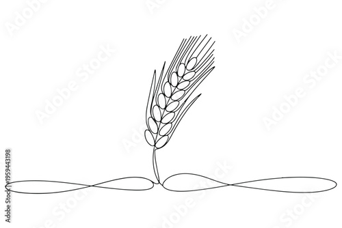 Single black line of wheat ear with stem and roots line single line black and white minimalist