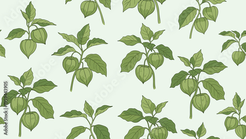 Botanical seamless pattern features green physalis branches with fruit husks and leaves arranged on a soft mint green background.